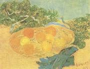 Still life:Oranges,Lomons and Blue Gloves (nn04) Vincent Van Gogh